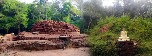 Ancient Sapumalgaskada Monastery