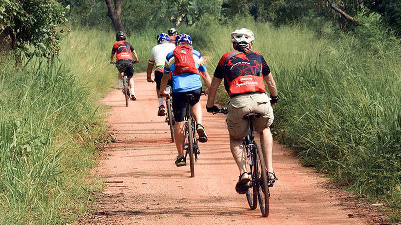 Cycling Tour to Hill Country (5 Days)