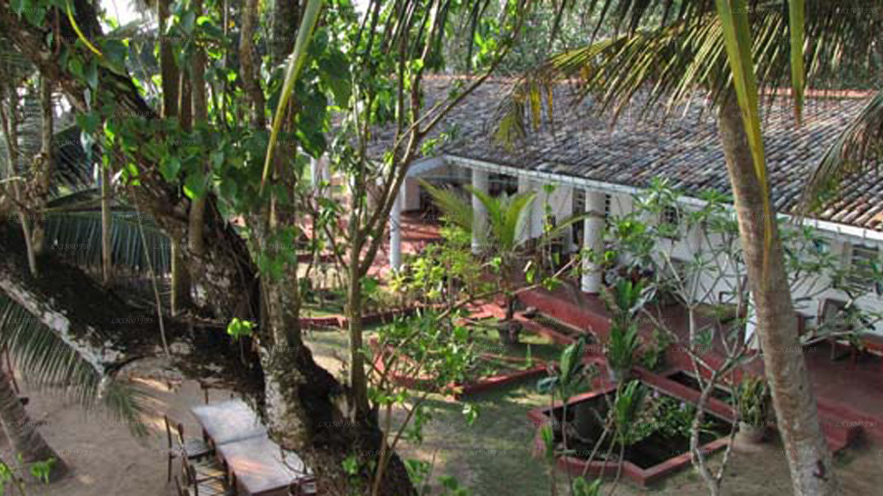 Palm Villa, Mirissa