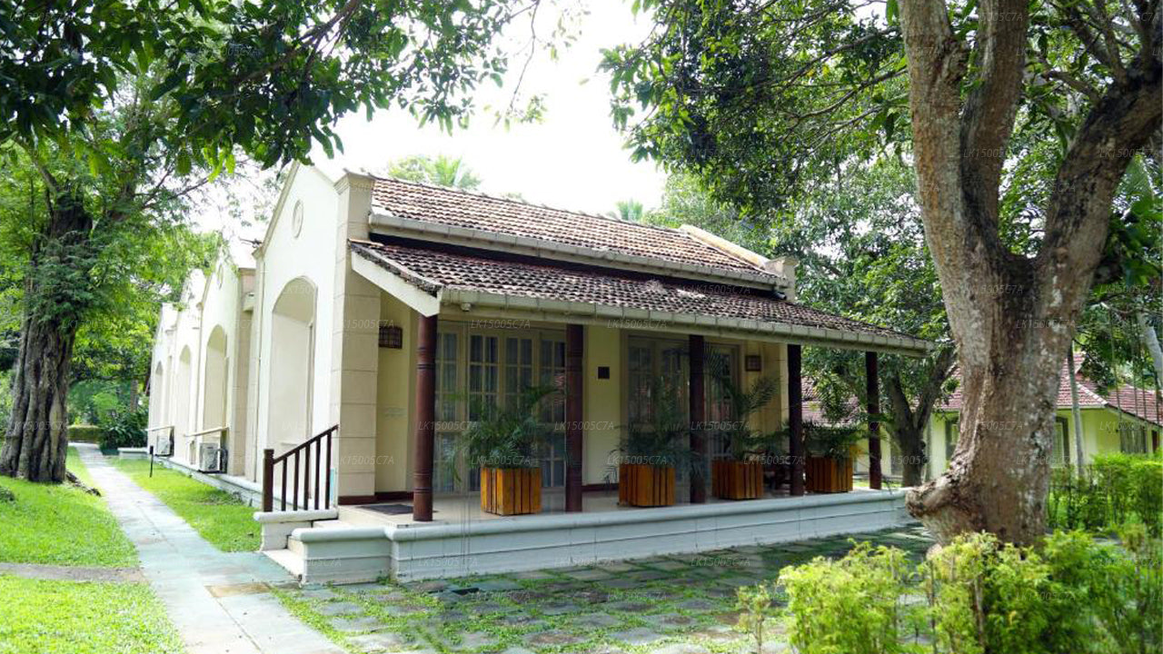 Tamarind Tree Hotel, Katunayake