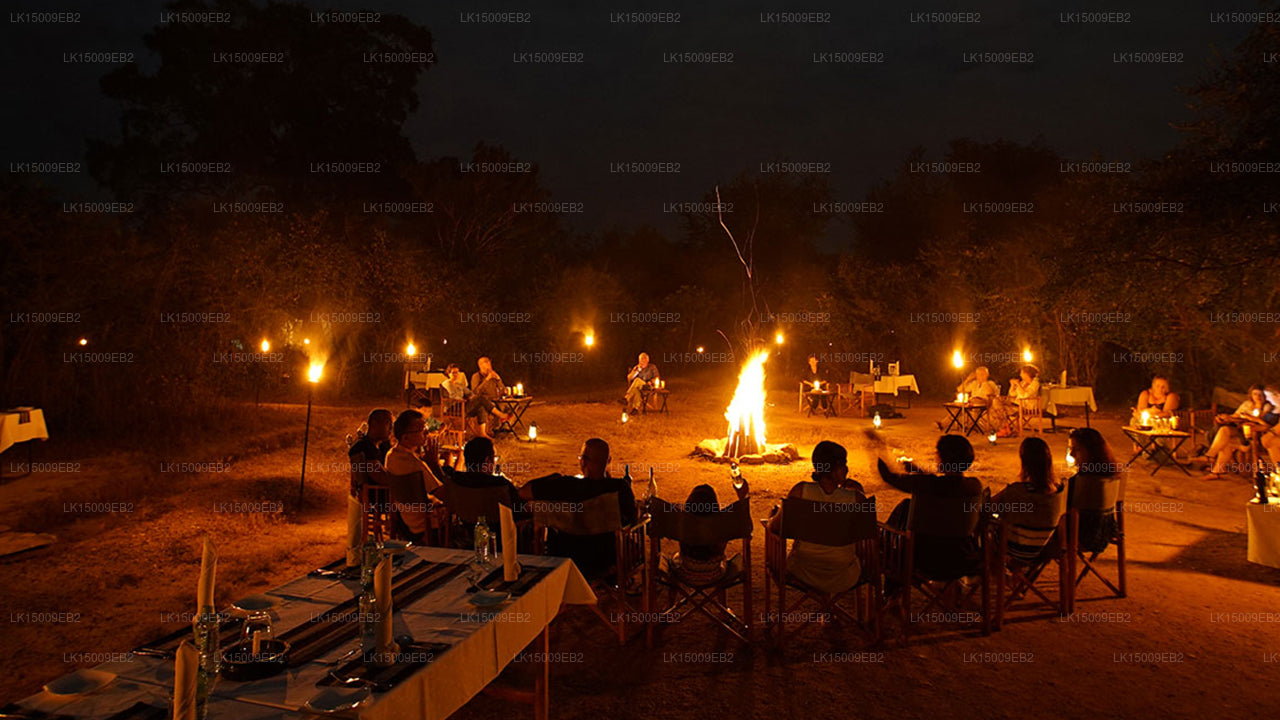 Big Game Camps and Lodges, Yala