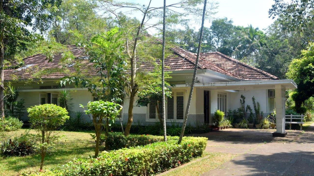 ES Holiday Bungalow, Anuradhapura