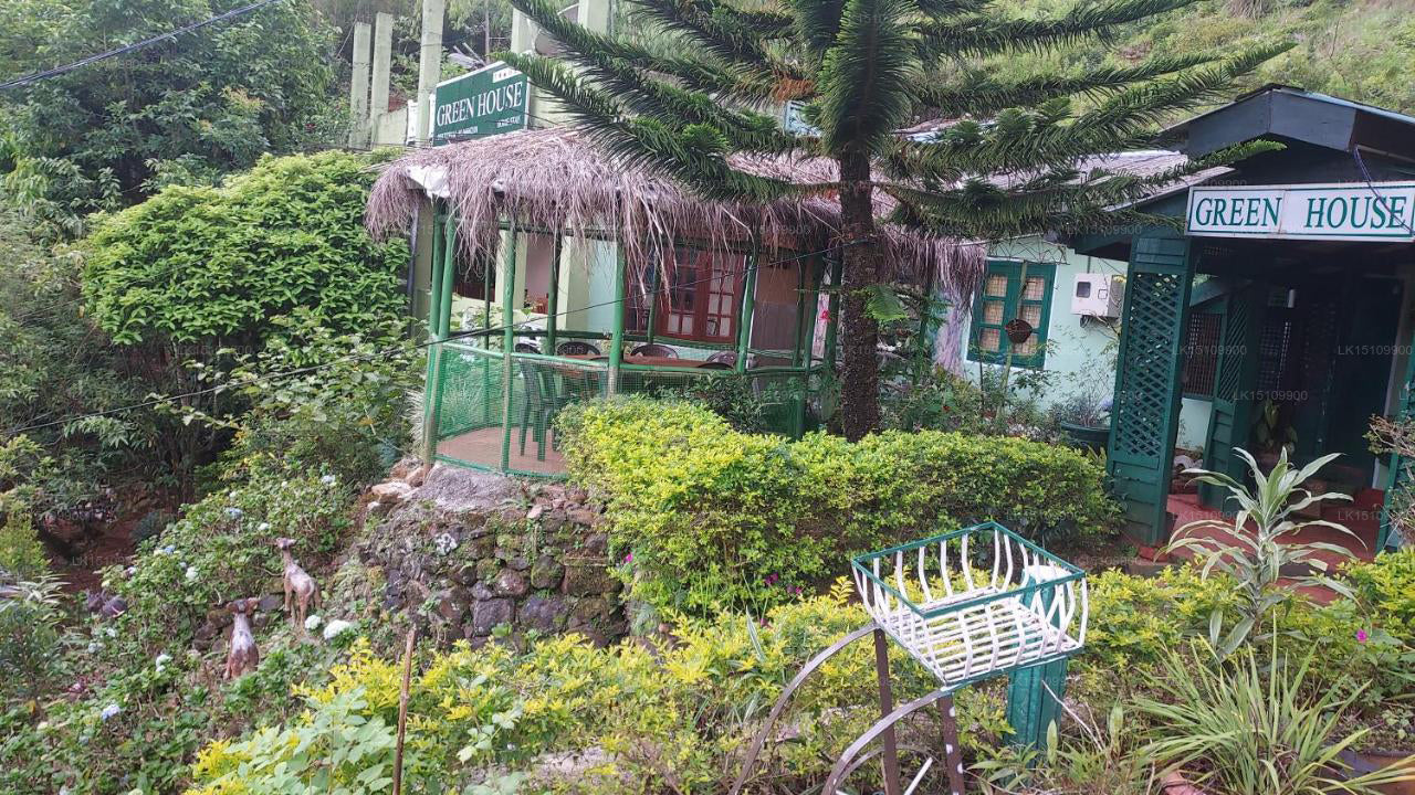 Green House Family Gest House, Hatton