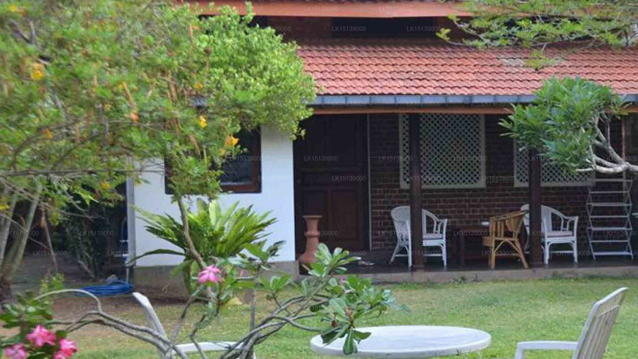 Cottage Garden, Mount Lavinia