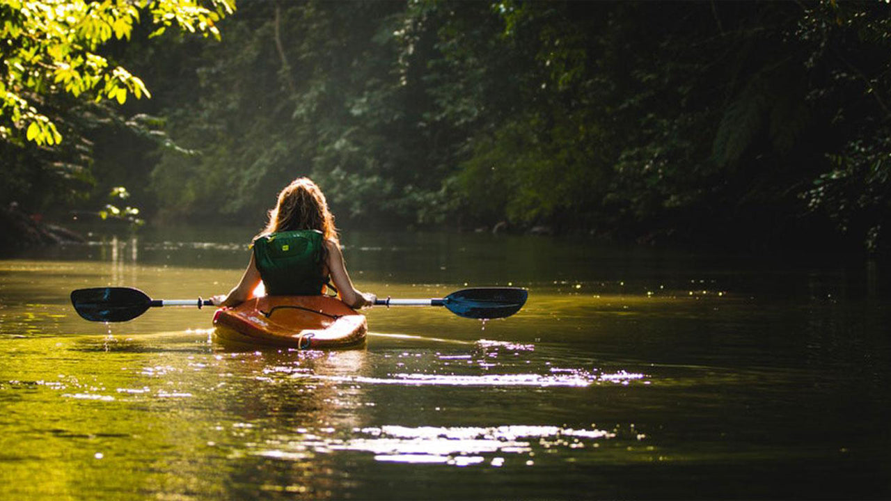 Kayaking from Bolgoda Lake