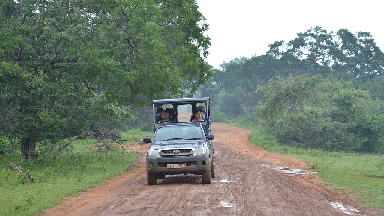 Wilpattu National Park Safari from Kandy