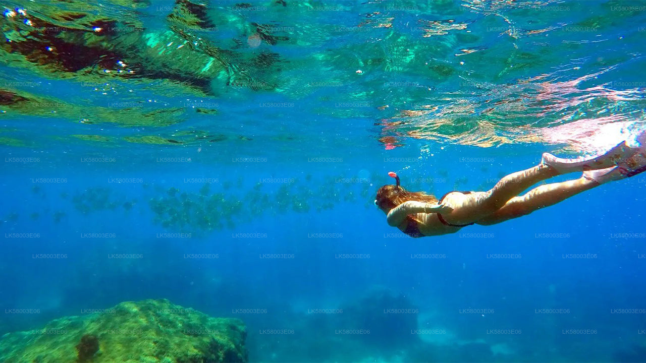 Snorkeling from Unawatuna