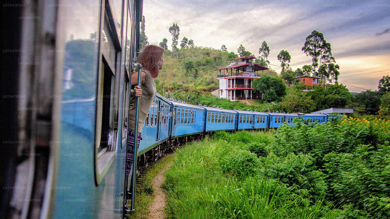 Train Ticket Reservation from Kandy to Ella, Nanu Oya, and Badulla