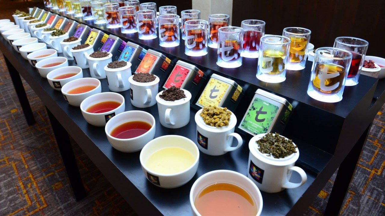 Ceylon Tea Tasting in Colombo