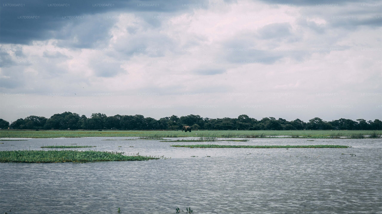 Pottuvil Lagoon Tour