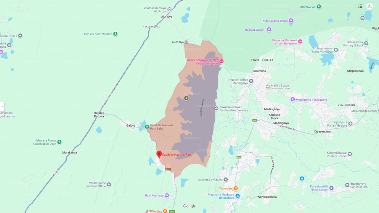 Kaudulla National Park Entrance Tickets