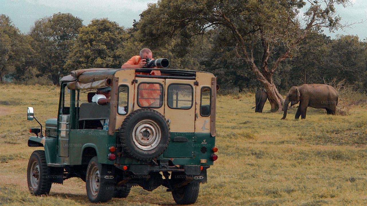 Sigiriya Rock, Dambulla and Wild Elephant Safari from Colombo