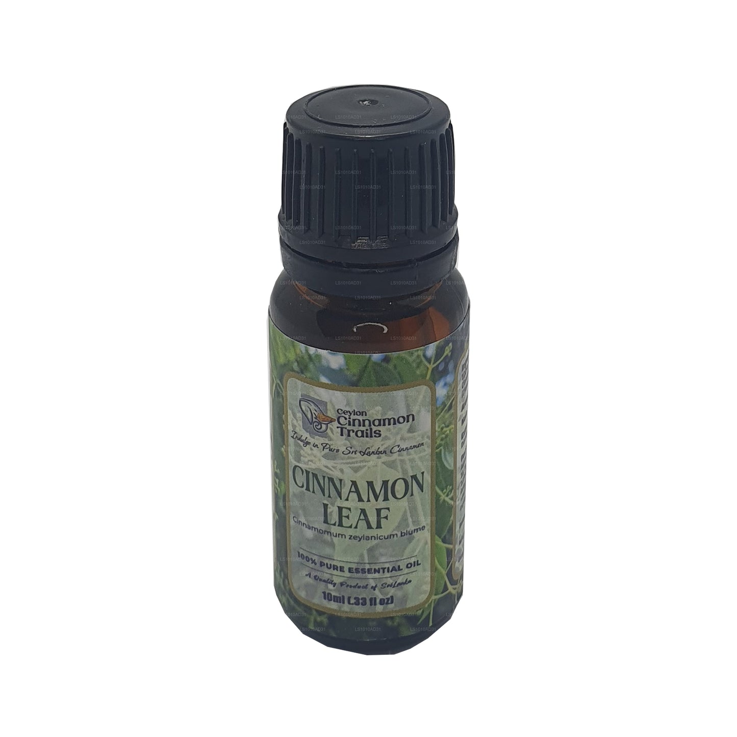 Ceylon Cinnamon Trails Cinnamon Leaf Essentials Oil