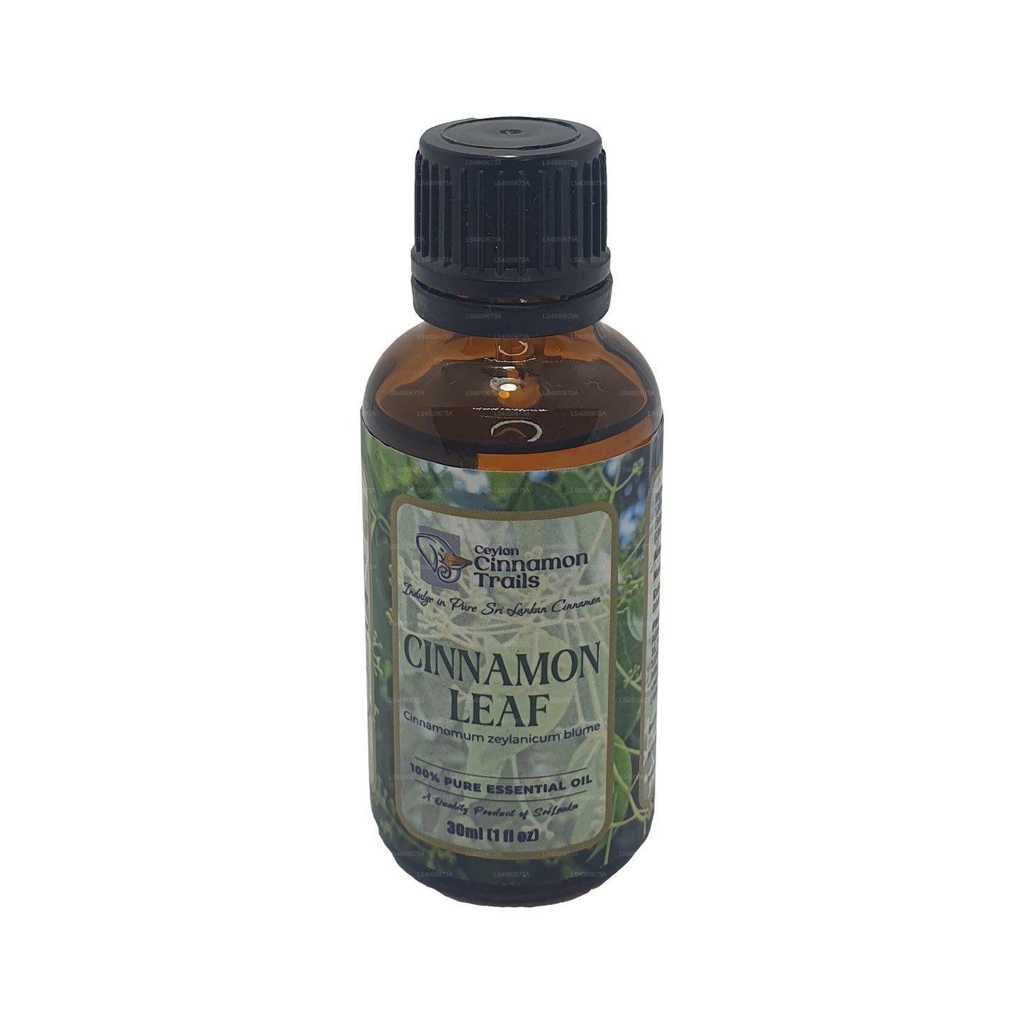 Ceylon Cinnamon Trails Cinnamon Leaf Essentials Oil