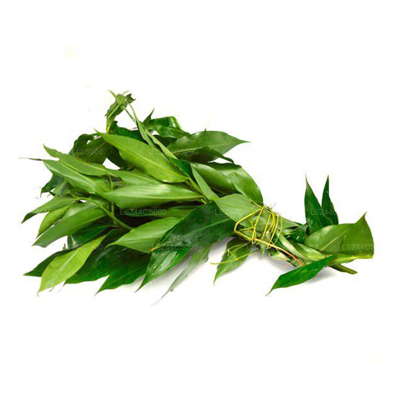 Lakpura Fresh Thebu Leaves