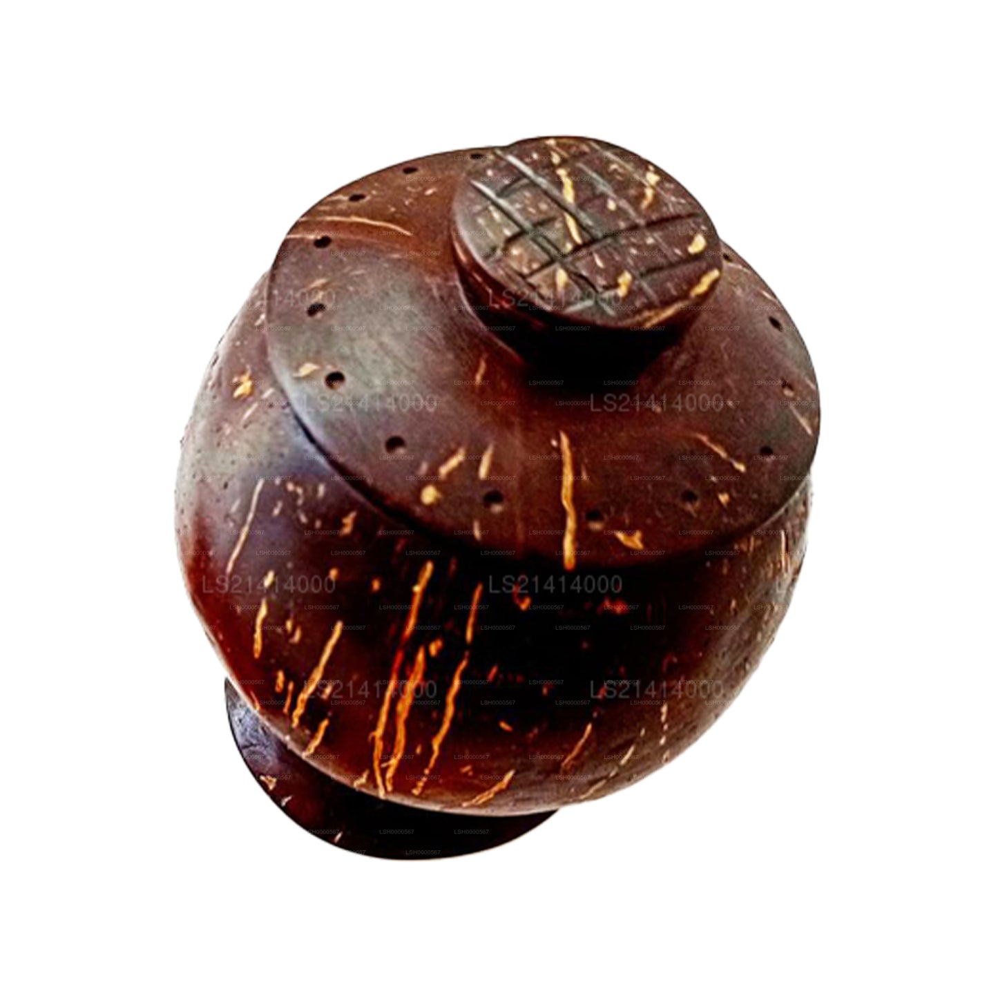 Coconut Shell Spice Bottle and Spoon