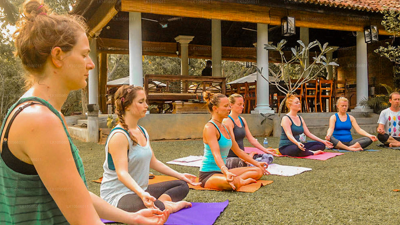 Meditation and Yoga Tour (5 Days)