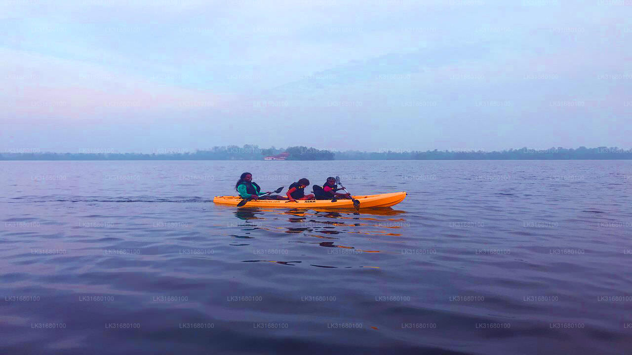 Kayaking from Bolgoda Lake