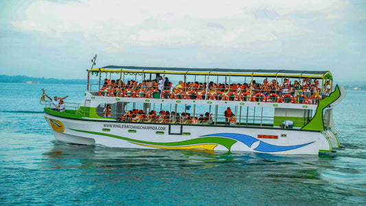 Whale Watching Boat Tour from Mirissa