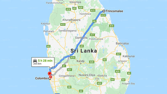 Trincomalee City to Colombo City Private Transfer