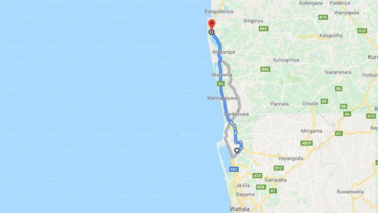 Transfer between Colombo Airport (CMB) and Carolina Beach Hotel, Chilaw