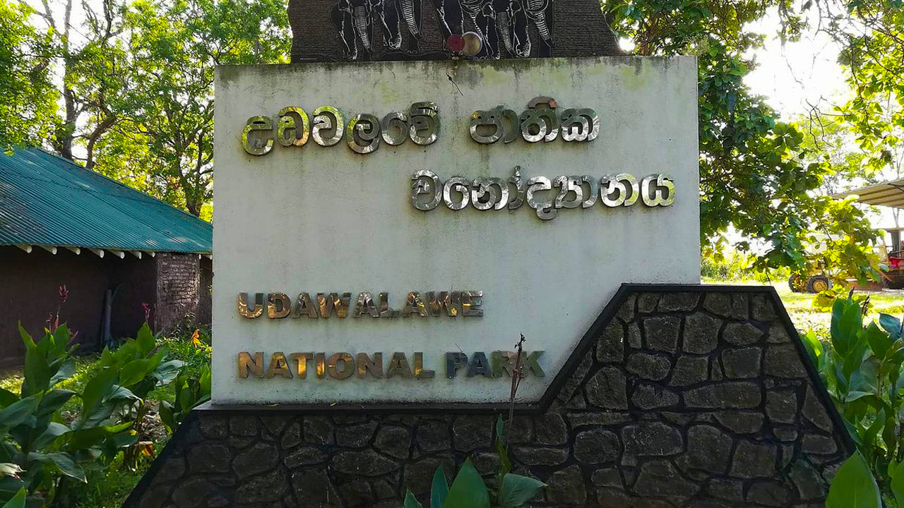 Udawalawe National Park Entrance Ticket