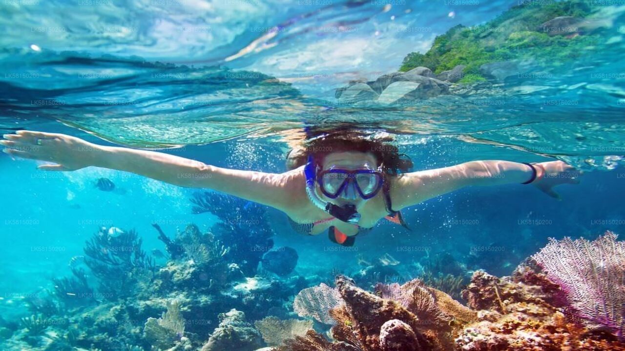 Snorkeling in Bar Reef Marine Sanctuary from Kalpitiya