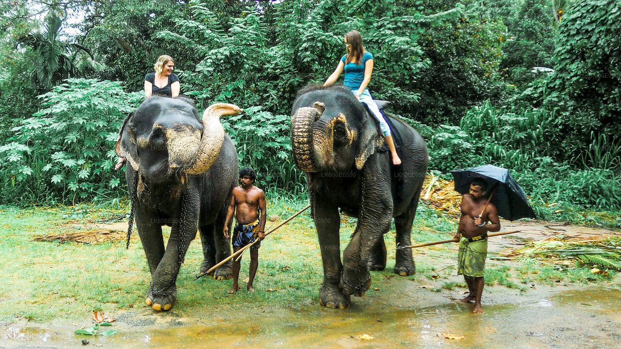 Pinnawala Elephant Orphanage from Beruwala