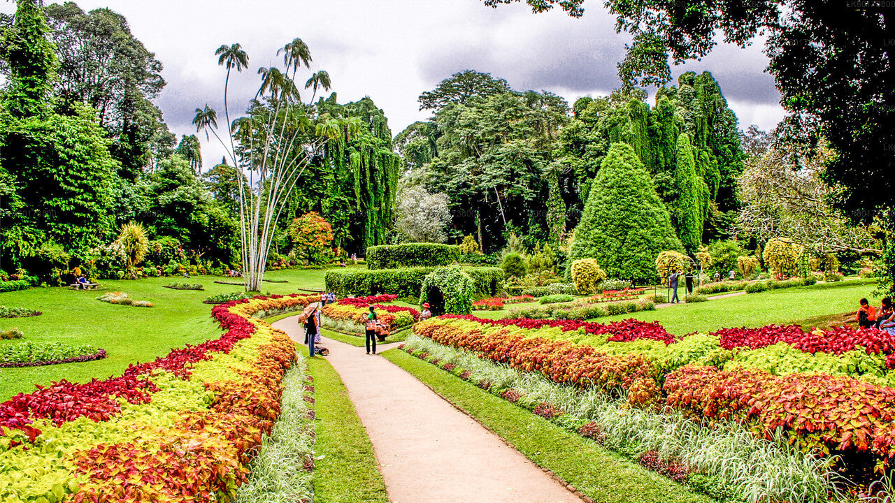 Royal Botanic Garden and Village Life Tour from Kandy