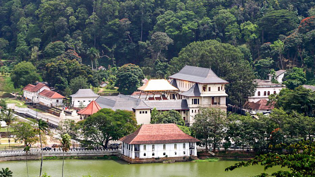 Pinnawala and Kandy Tour from Colombo