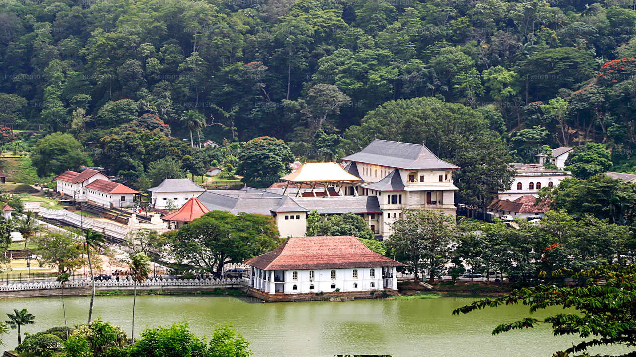 Kandy City Tour from Sigiriya