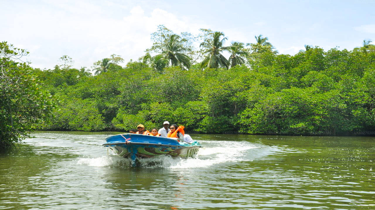 Bentota City Tour from Dikwella