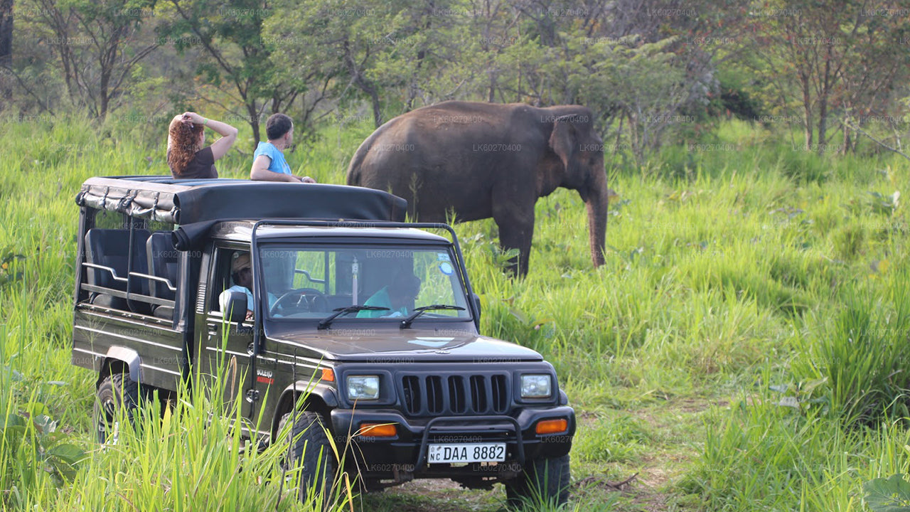 Udawalawe National Park Safari from Dikwella