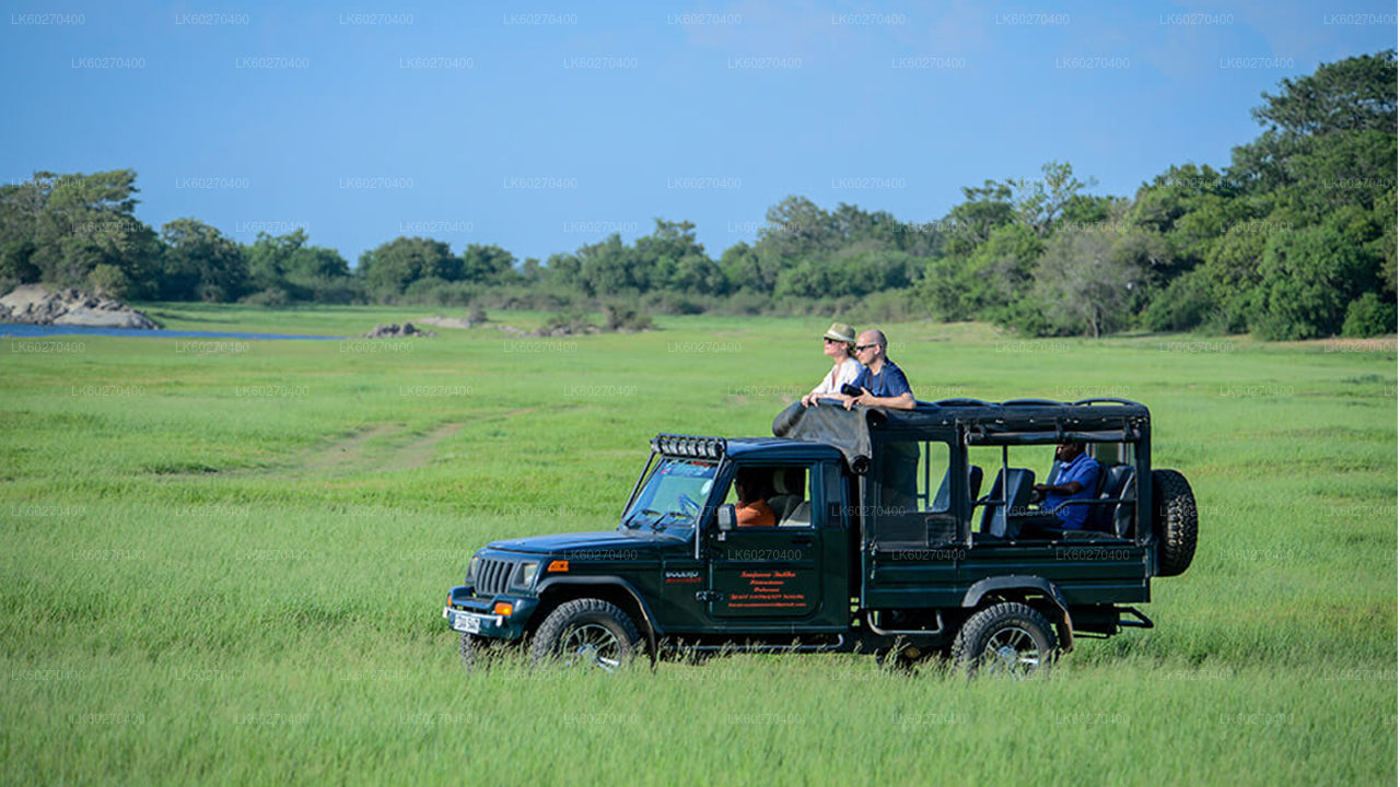 Udawalawe National Park Safari from Dikwella