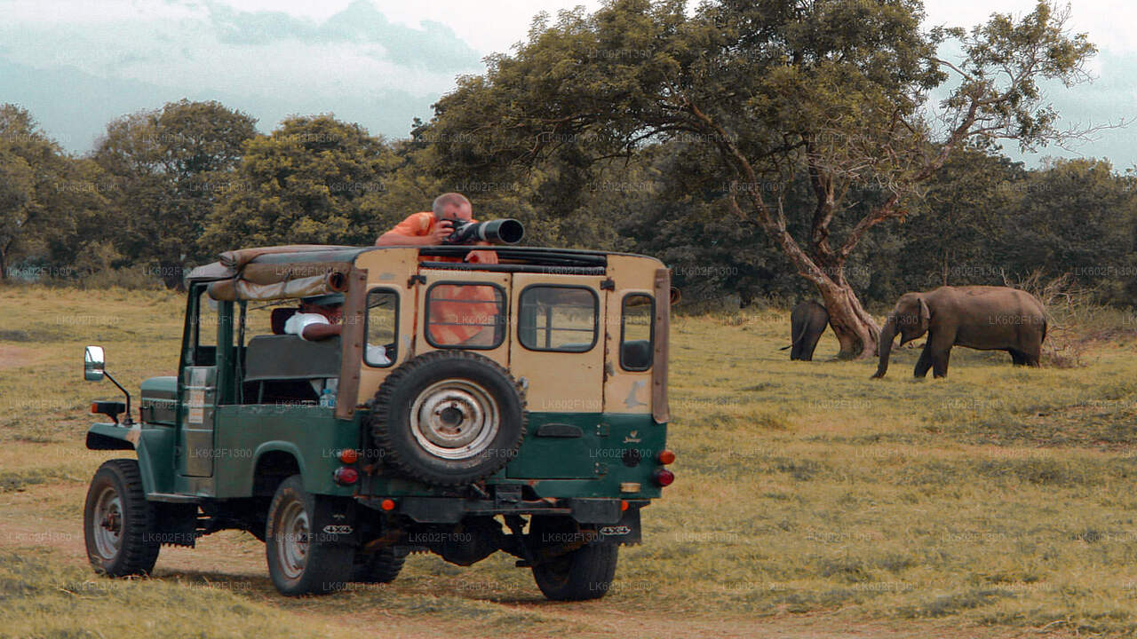 Udawalawe National Park Safari from Yala