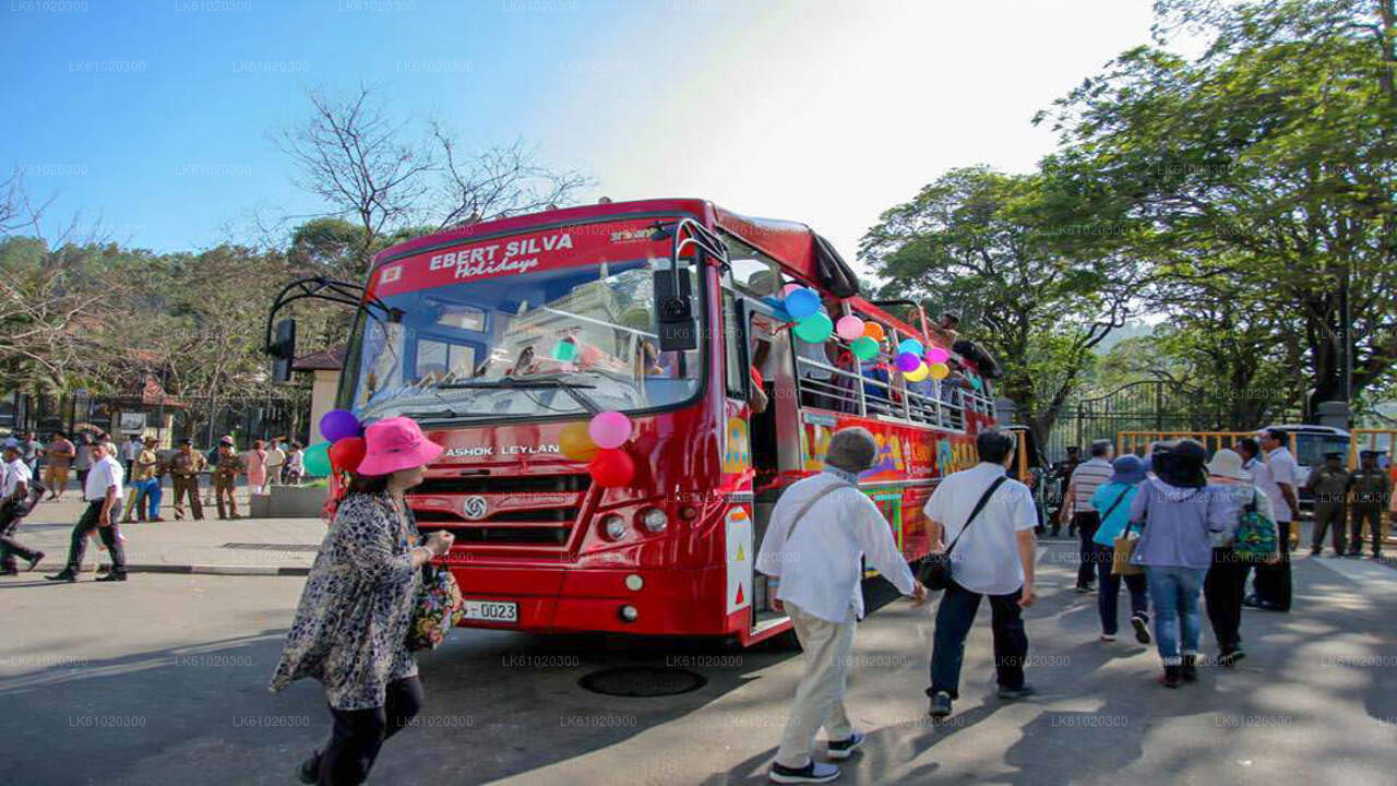 Kandy City Tour by Open-Deck Bus