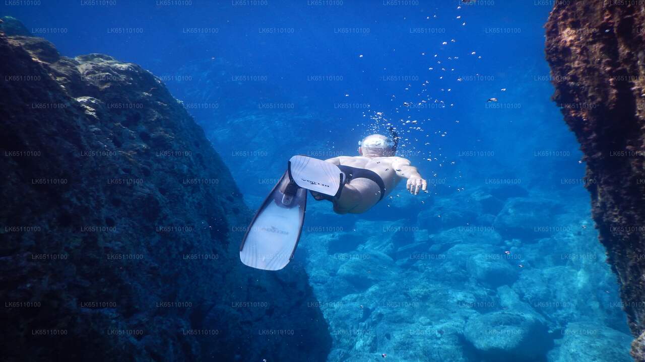 Scuba Diving from Hikkaduwa