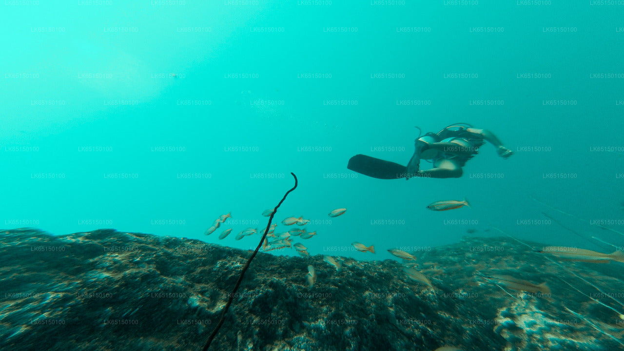 Scuba Diving from Kalpitiya