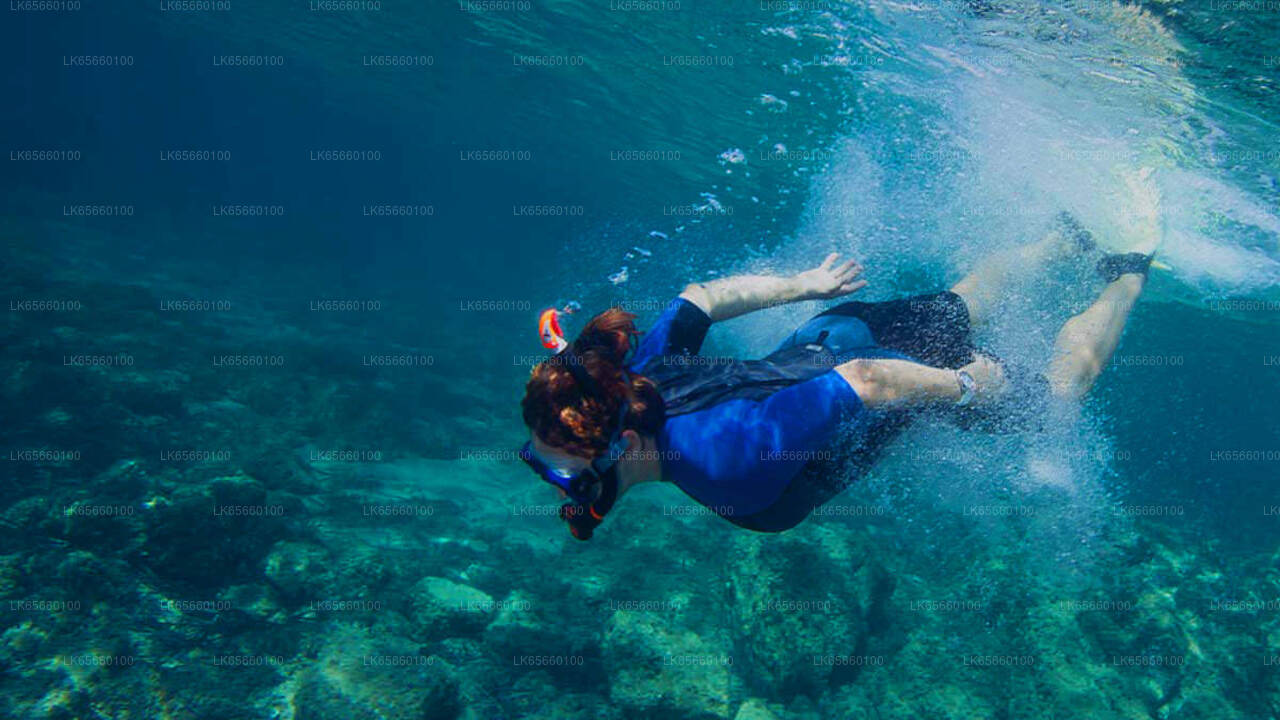 Scuba Diving in Mount Lavinia