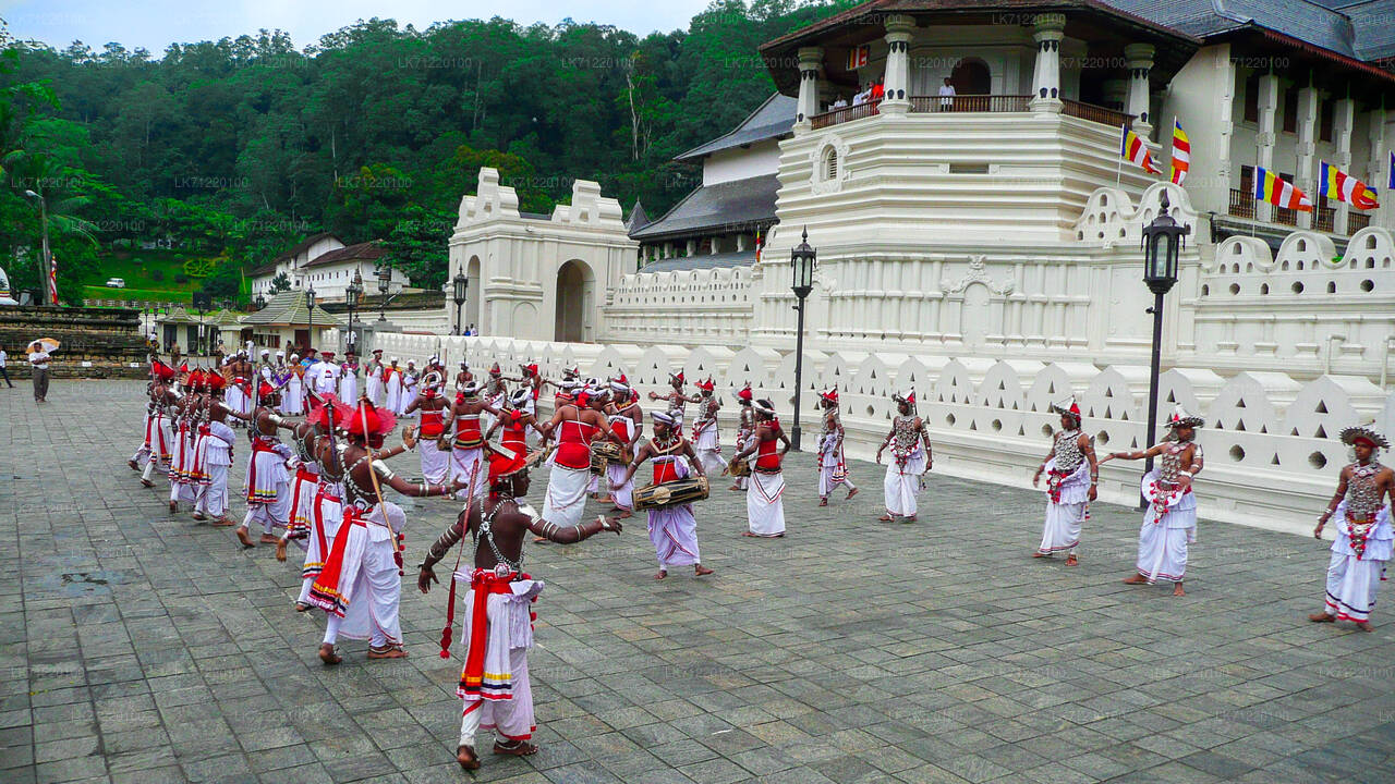Temple of The Sacred Tooth Relic Entrance Ticket
