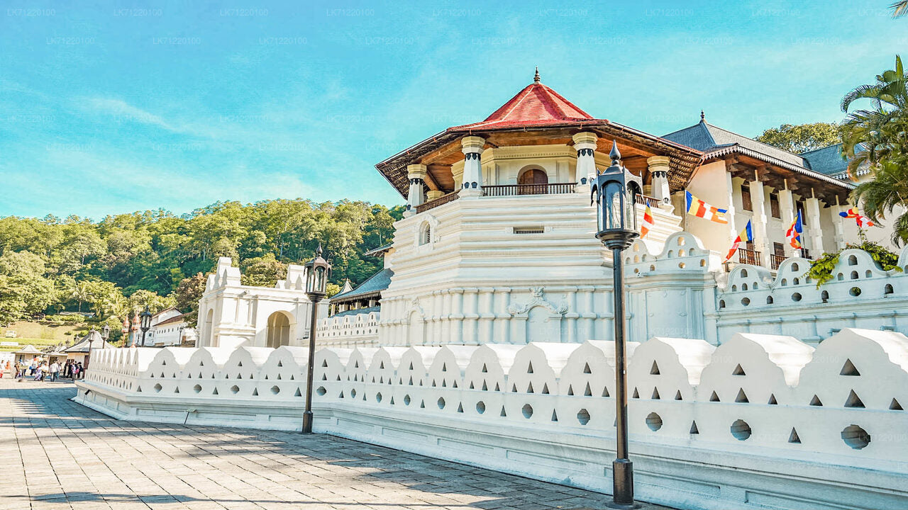 Temple of The Sacred Tooth Relic Entrance Ticket