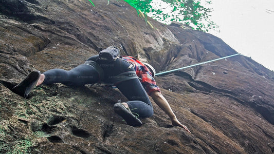 Forest Rock Climbing from Colombo