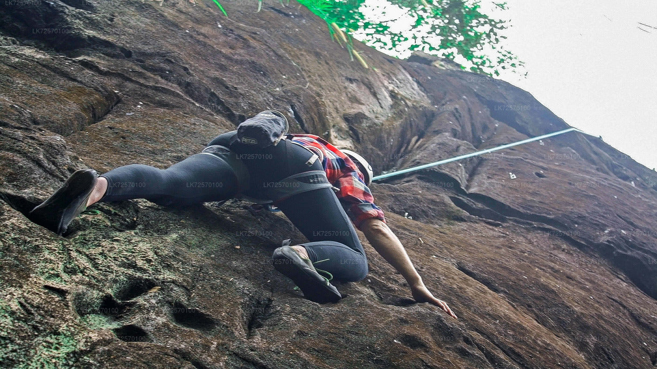Forest Rock Climbing from Horana