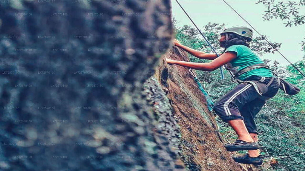 Forest Rock Climbing from Horana