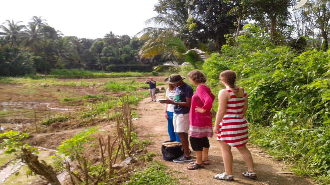 Countryside Hike from Kandy