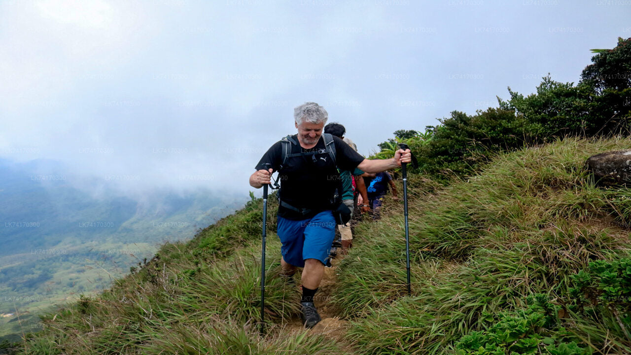 Knuckles Mountain Range Hike from Kandy