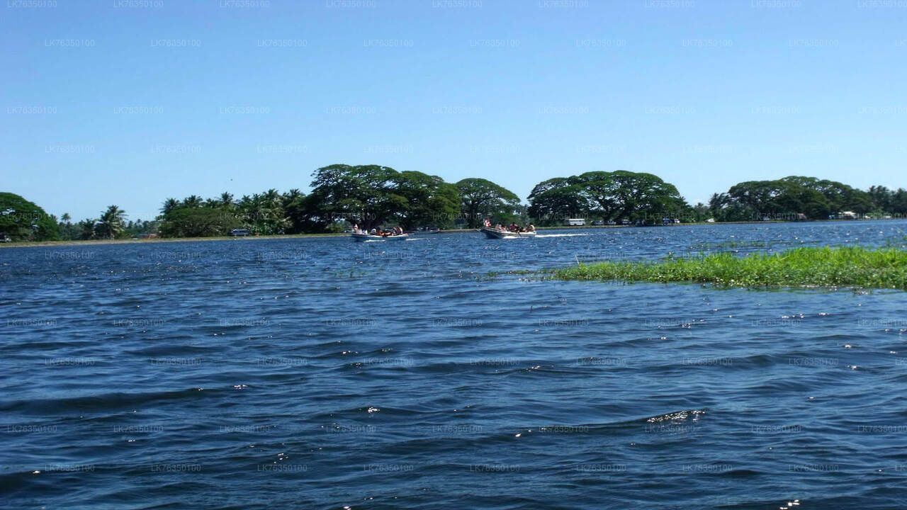 Boat Ride at Tissamaharama Lake