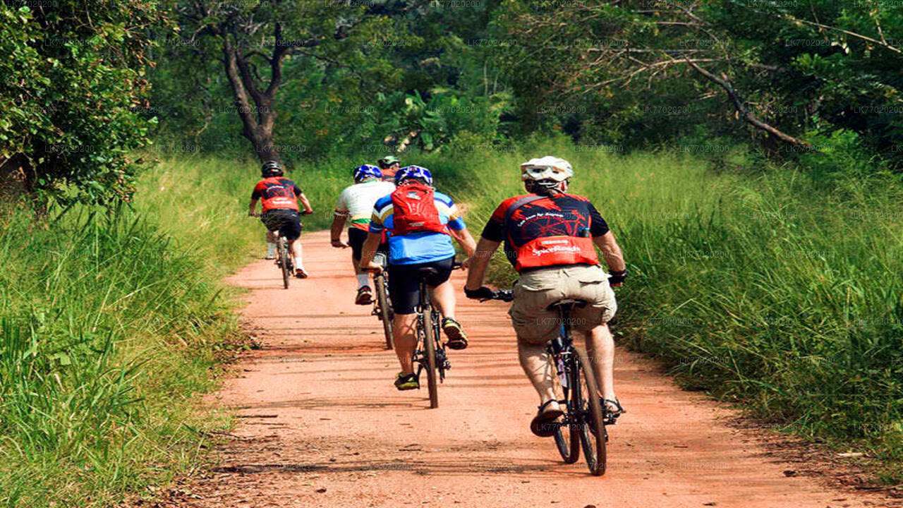 Balana Battlefield Cycling Tour from Kandy