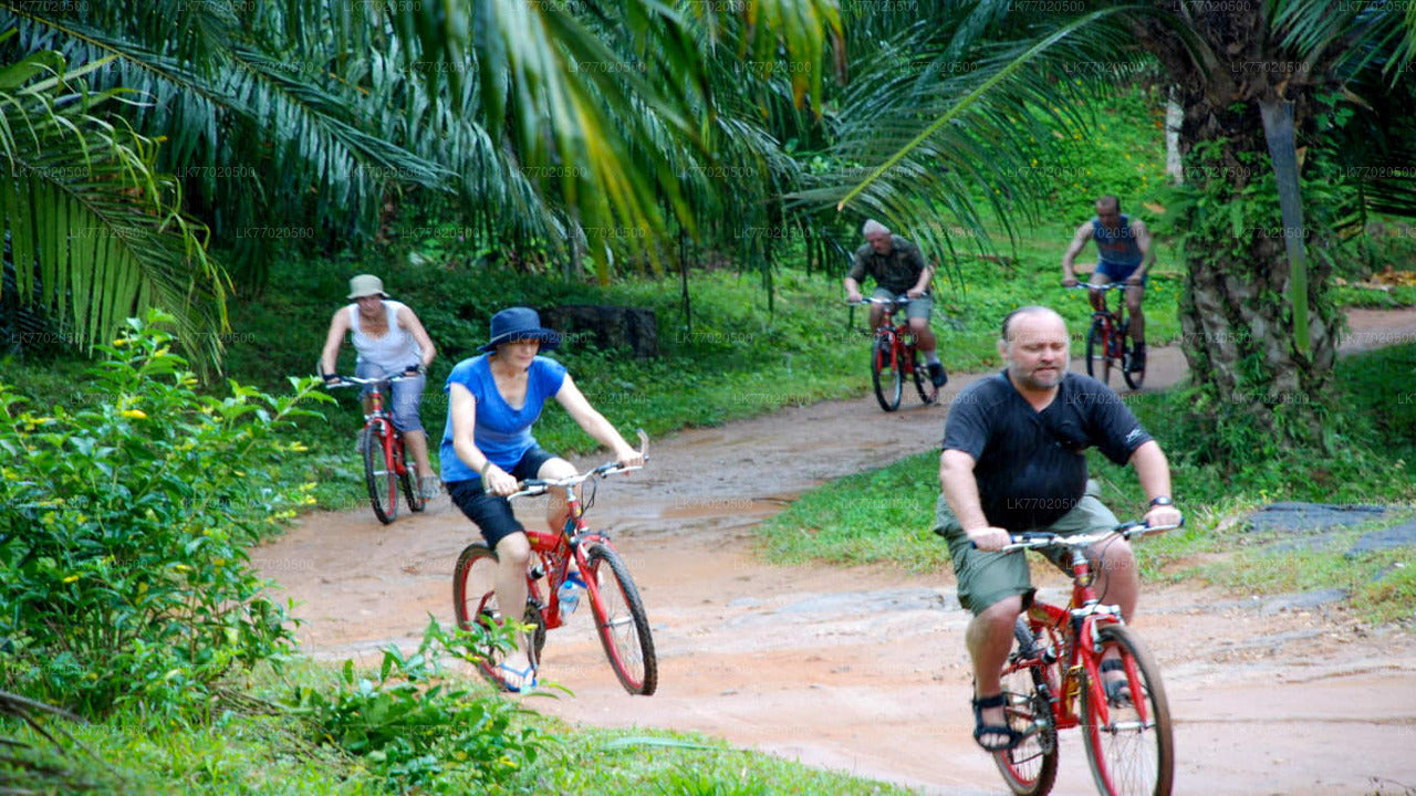 3 Temple Loop Cycling Tour from Kandy