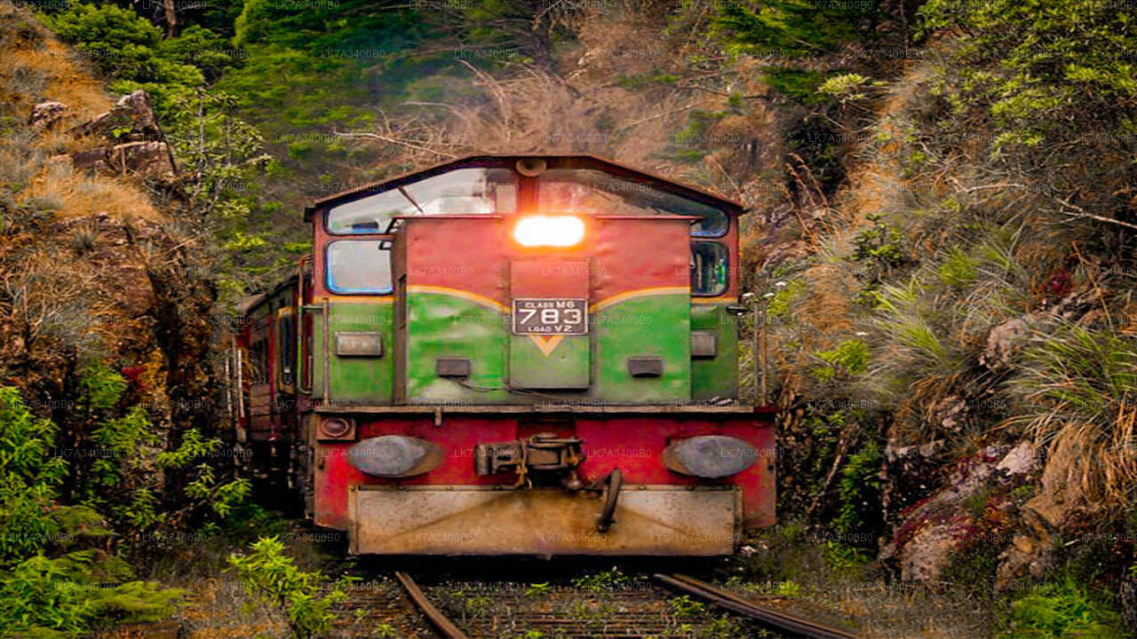 Kandy to Nanu Oya train ride on (Train No: 1015 "Udarata Menike")